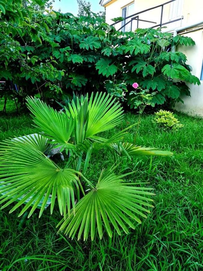 فندق Private House Suliko كوبوليتي المظهر الخارجي الصورة